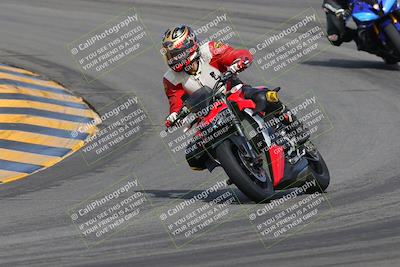 media/Mar-12-2023-SoCal Trackdays (Sun) [[d4c8249724]]/Turns 9 and 10 (1020am)/